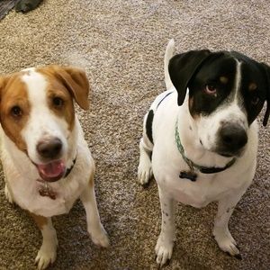 Meet your Posher, Kevin